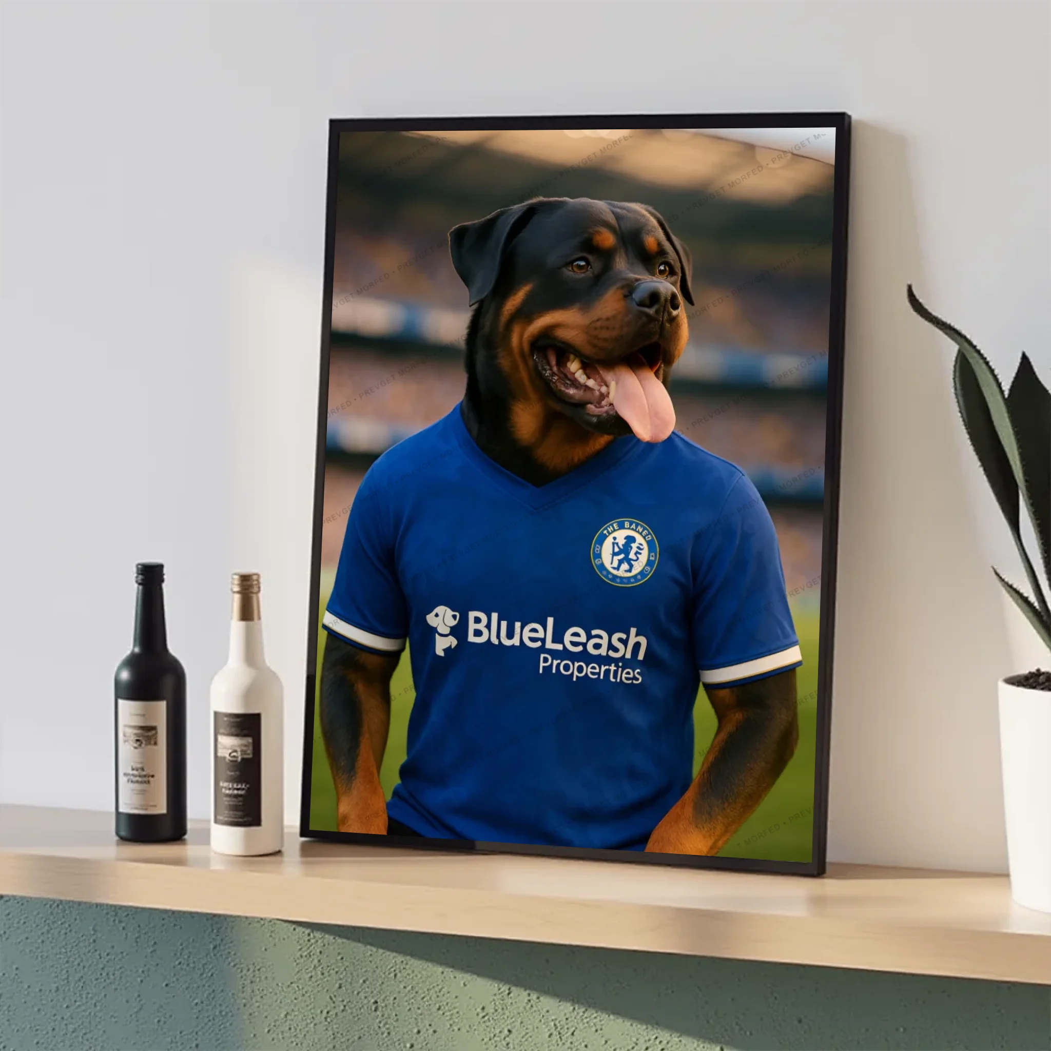 Canvas - 16x24 - Black