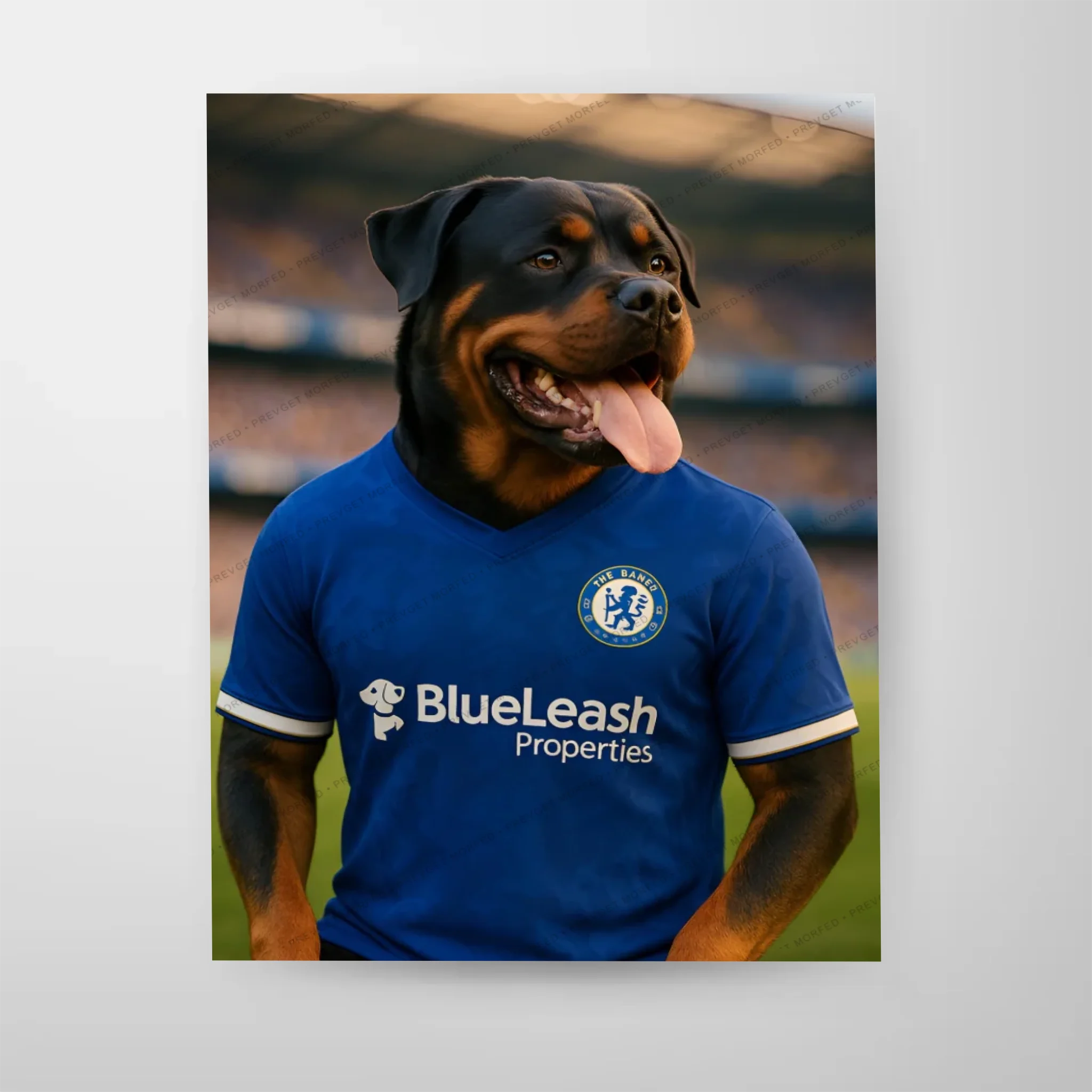 Poster-16″ x 20_ - No frame