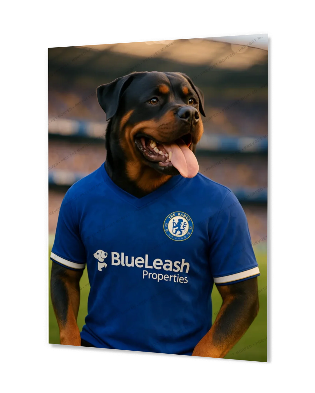 c1100f7b5ad5d3dcd952aedc461044fb0ae6c522-1680x2100