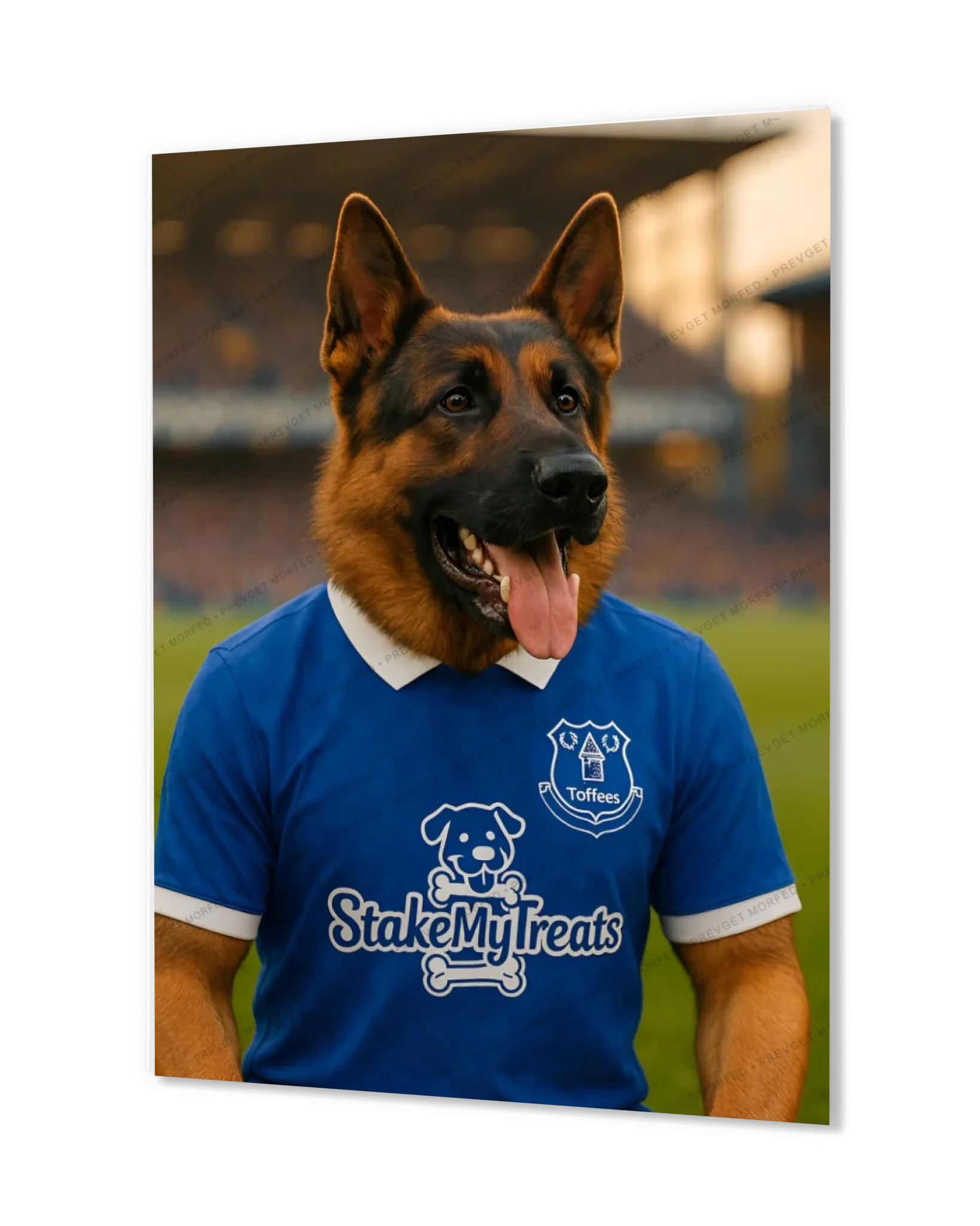 Blue Barkside Captain