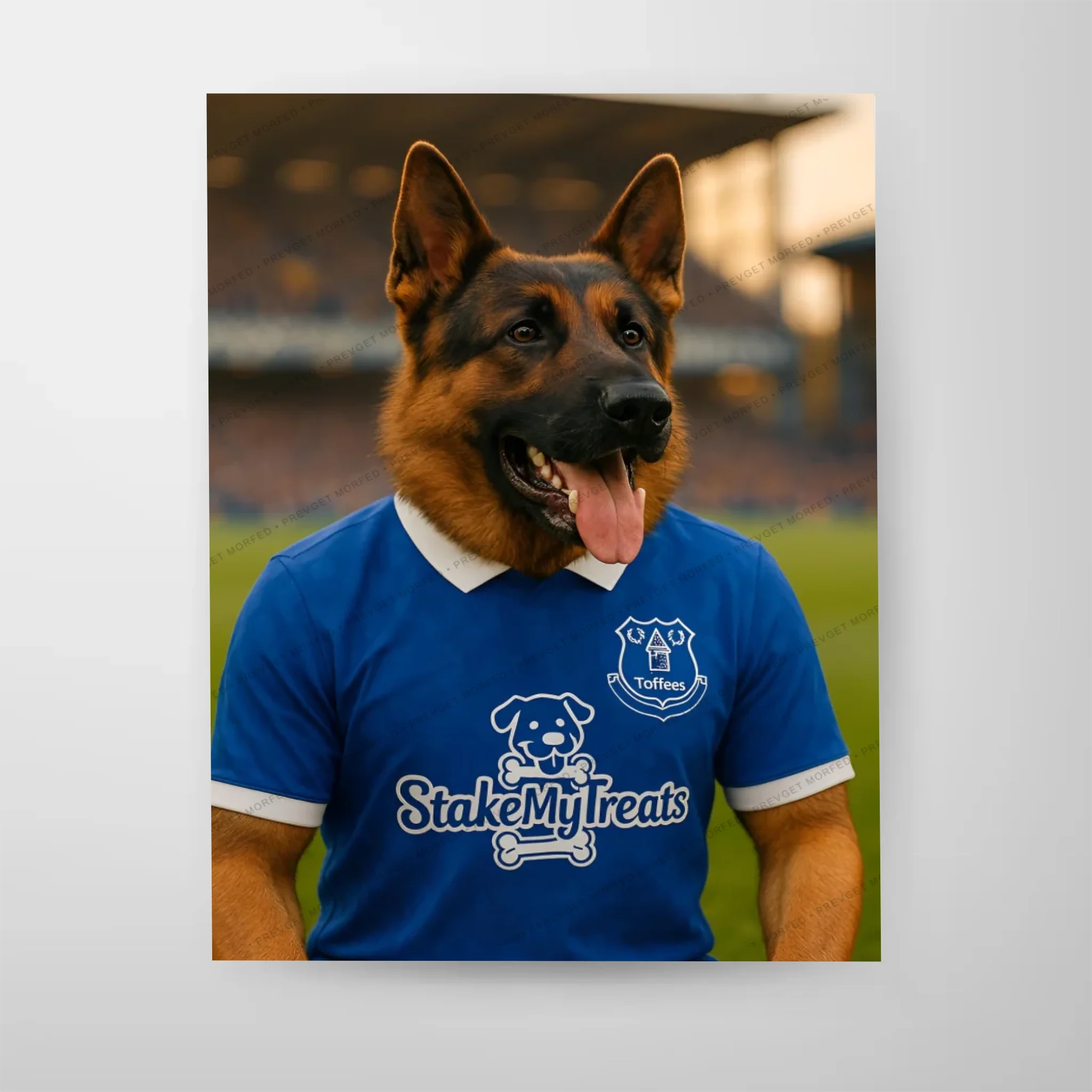 Poster-16″ x 20_ - No frame