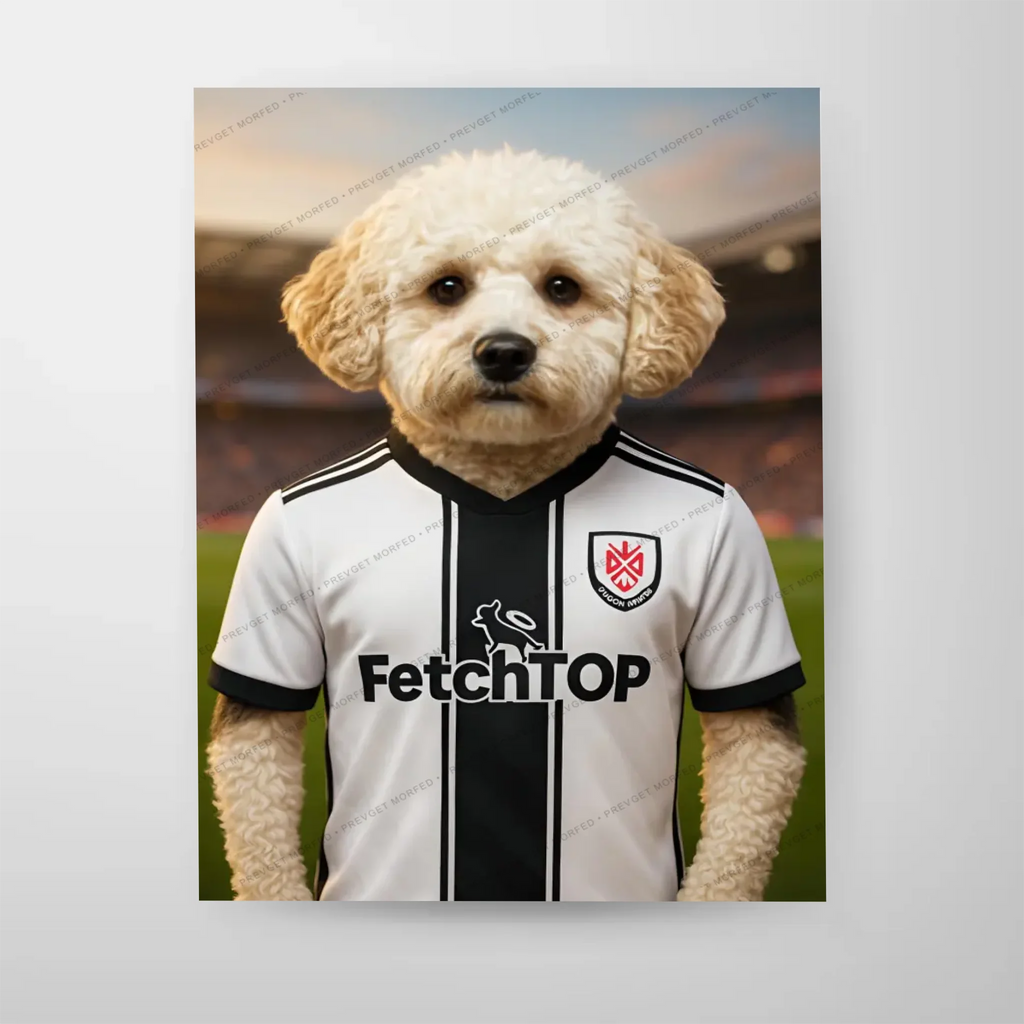 Poster-16″ x 20_ - No frame