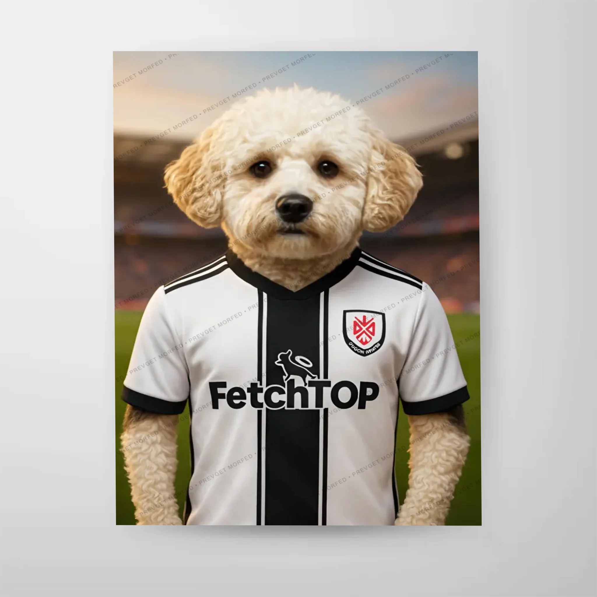 Poster-16″ x 20_ - No frame