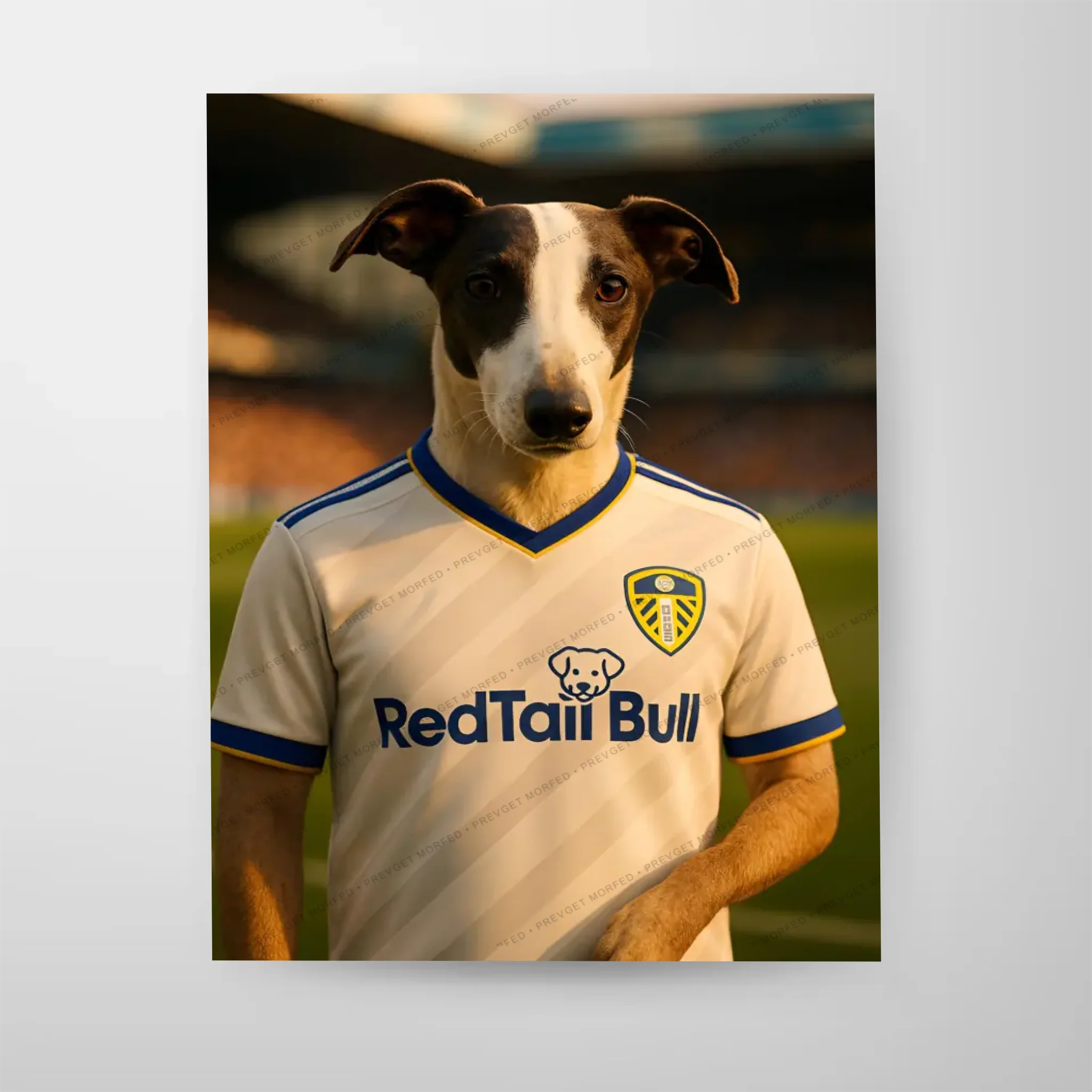 Poster-16″ x 20_ - No frame