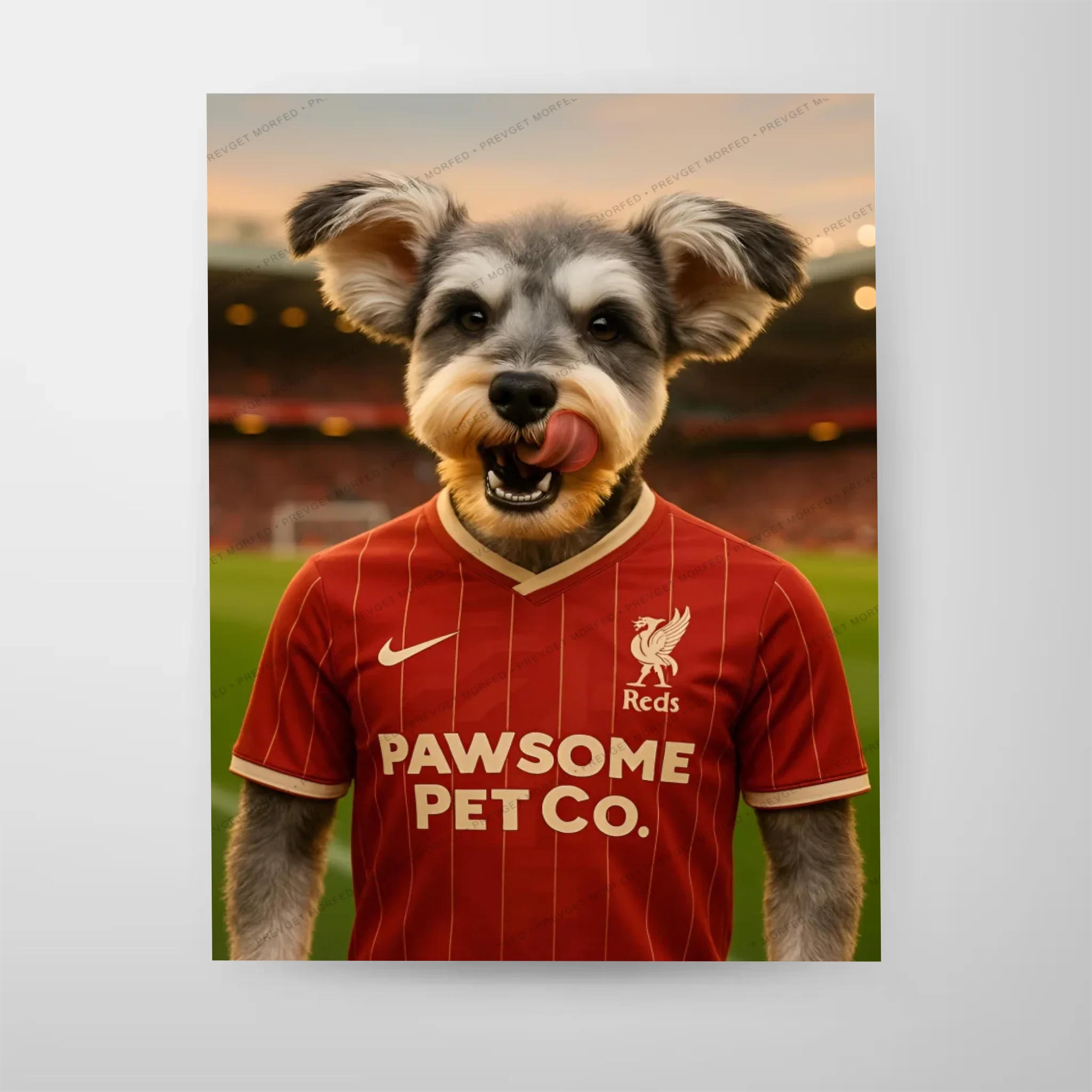 Poster-16″ x 20_ - No frame