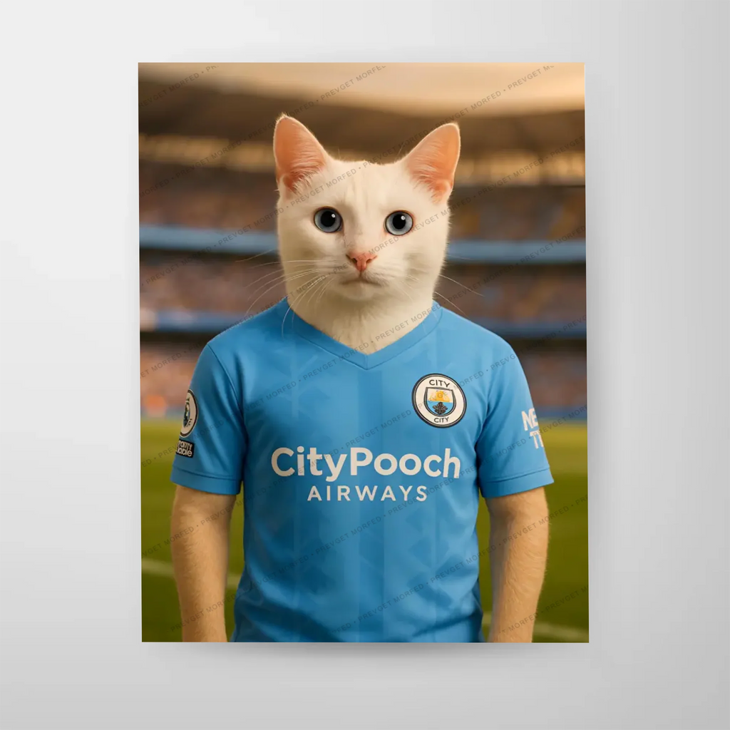 Poster-16″ x 20_ - No frame