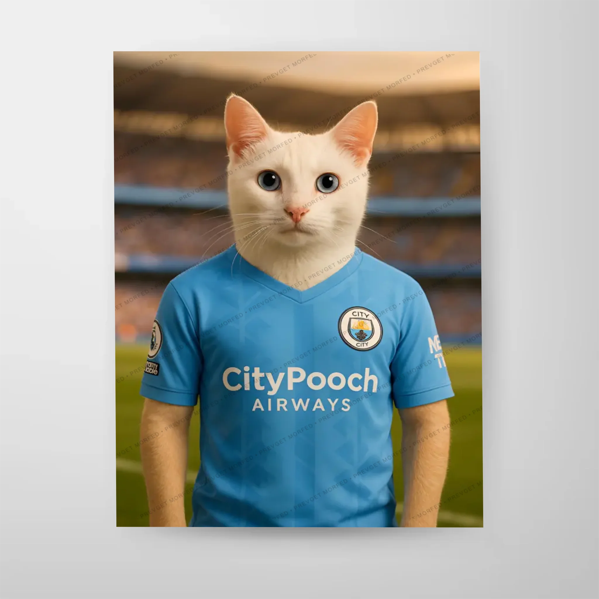 Poster-16″ x 20_ - No frame