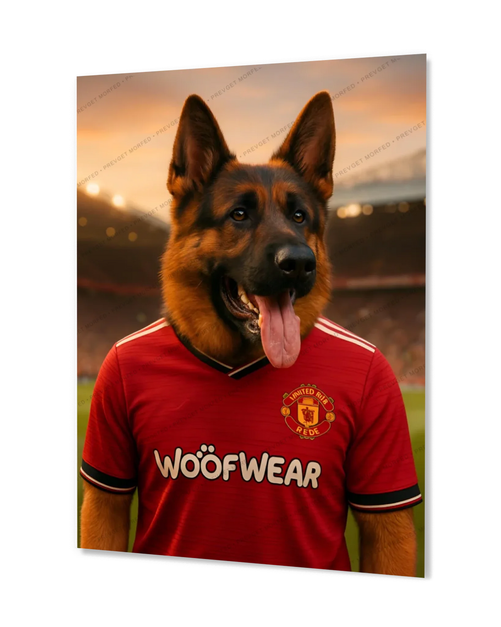 c1100f7b5ad5d3dcd952aedc461044fb0ae6c522-1680x2100