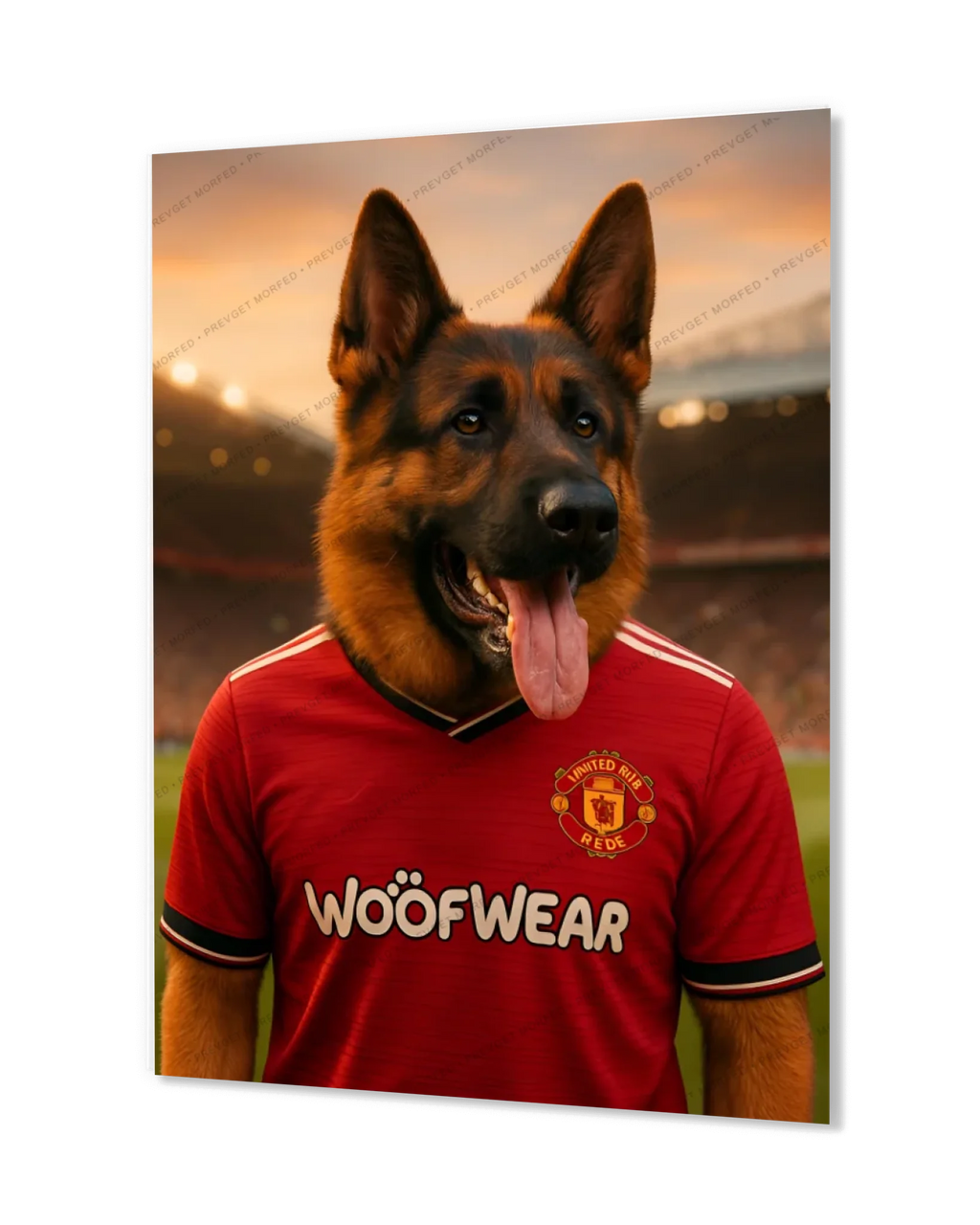 Red Devils Companion