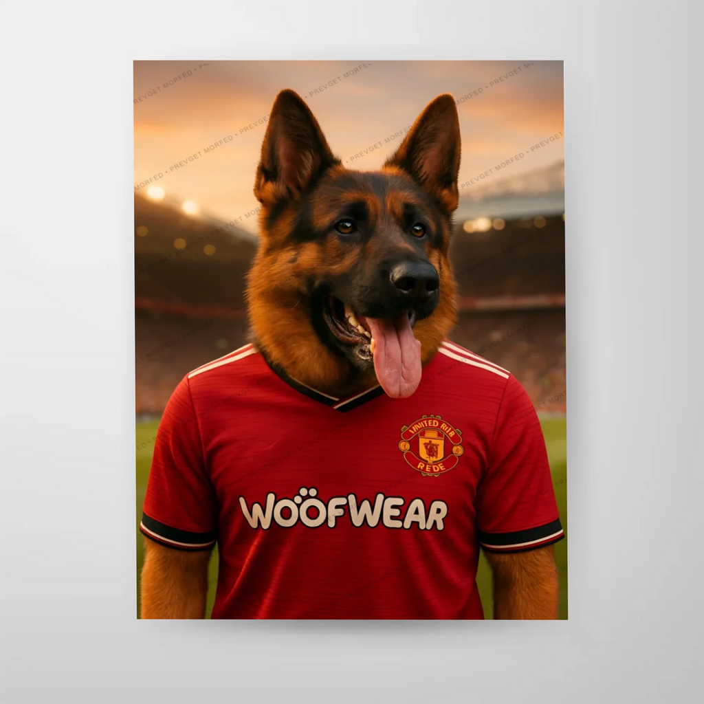 Poster-16″ x 20_ - No frame