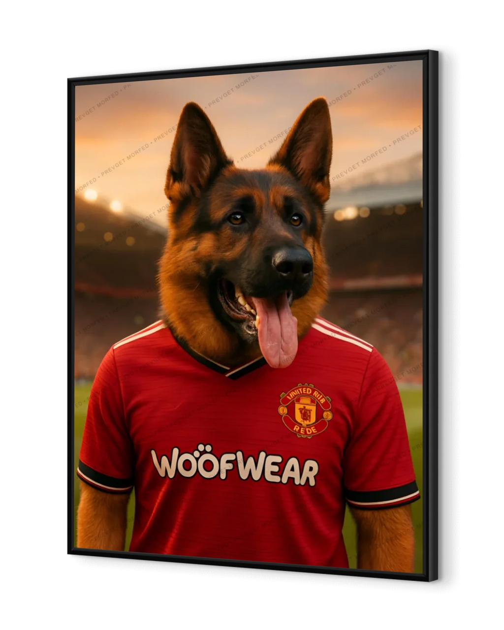 Red Devils Companion