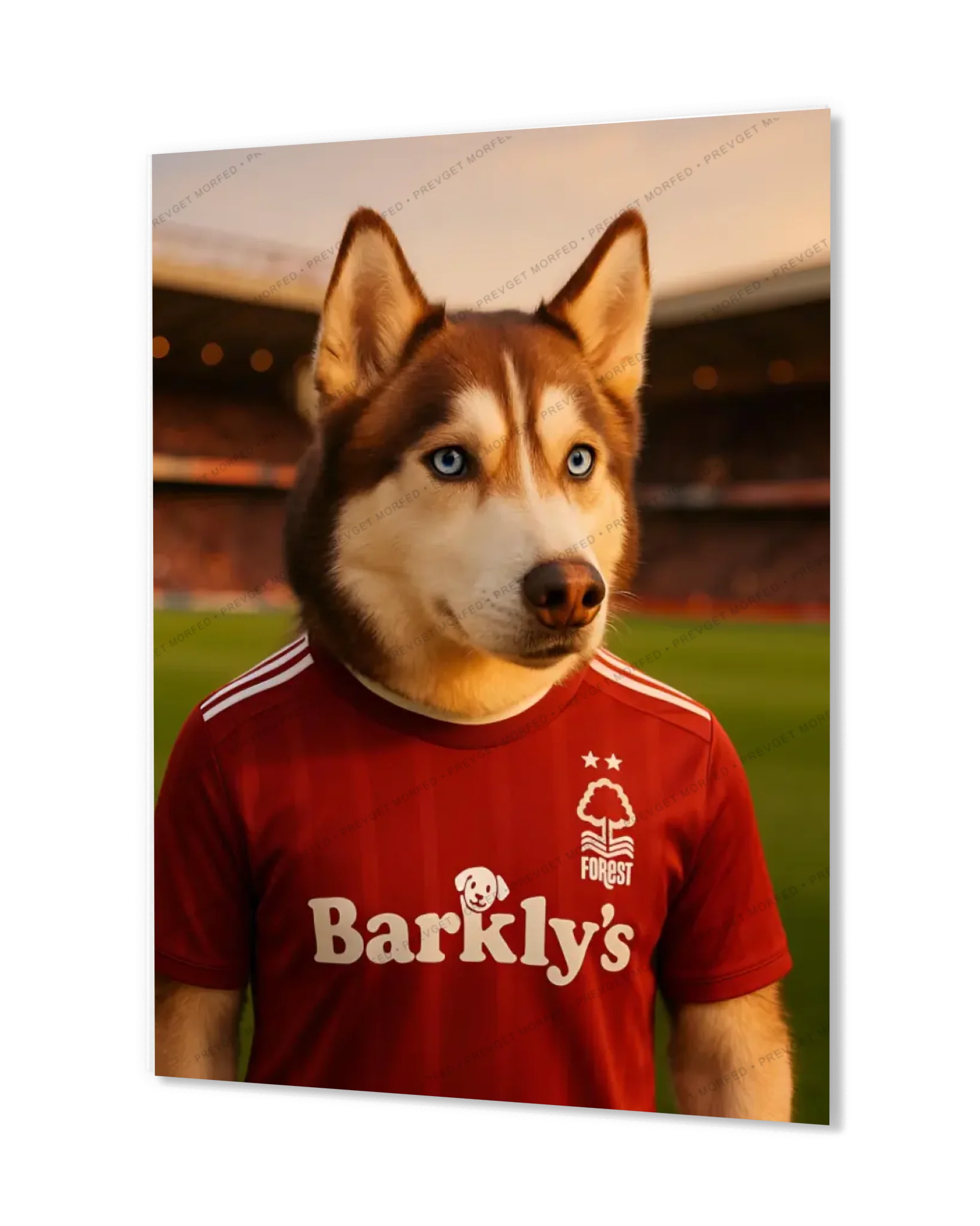 City Ground Flyer