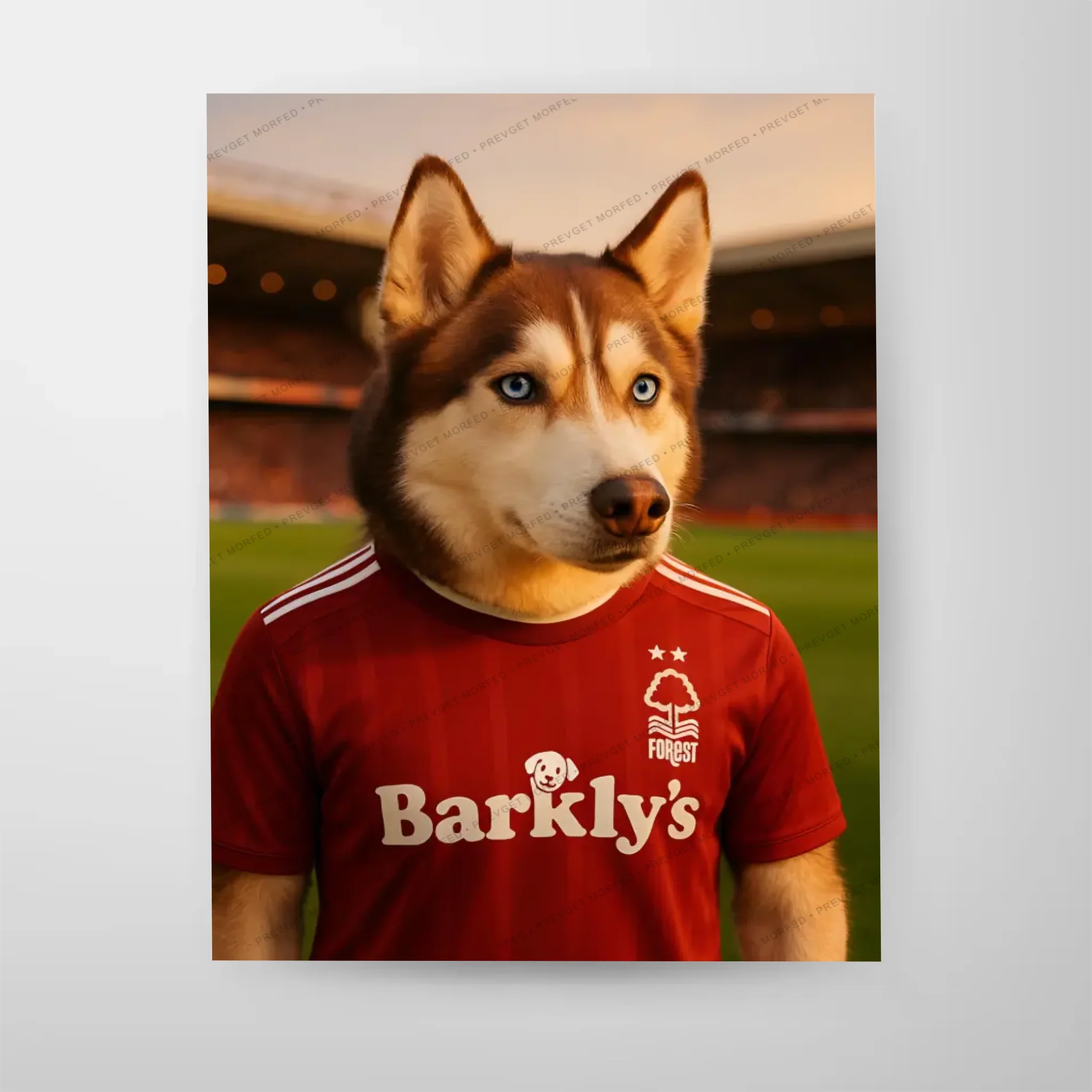 Poster-16″ x 20_ - No frame