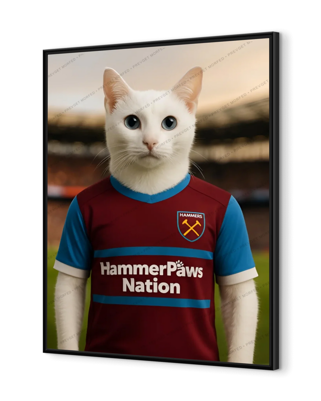 The Claret & Blue Captain