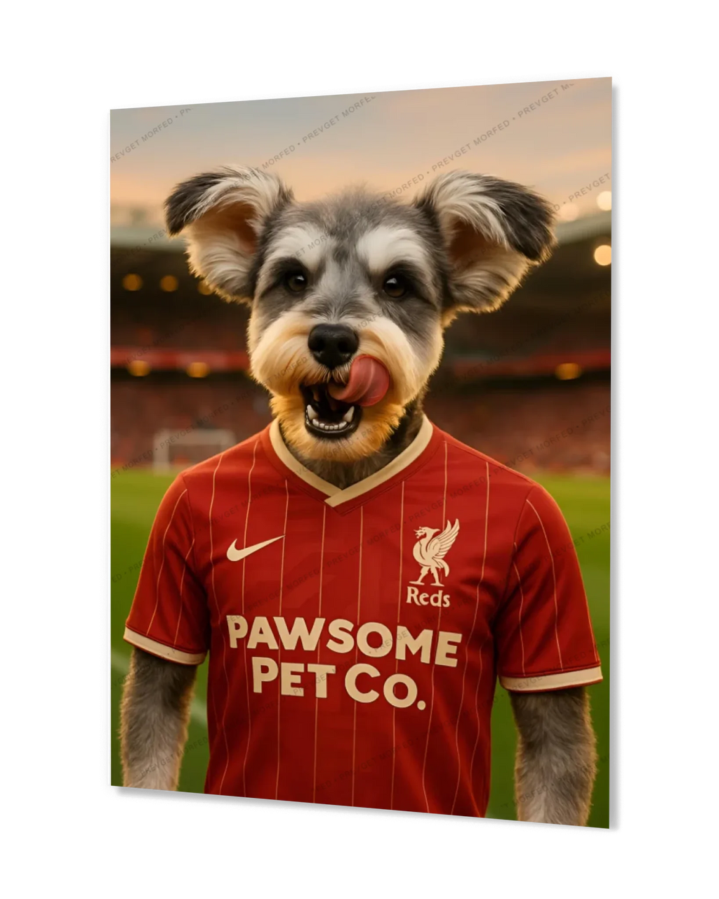 c1100f7b5ad5d3dcd952aedc461044fb0ae6c522-1680x2100