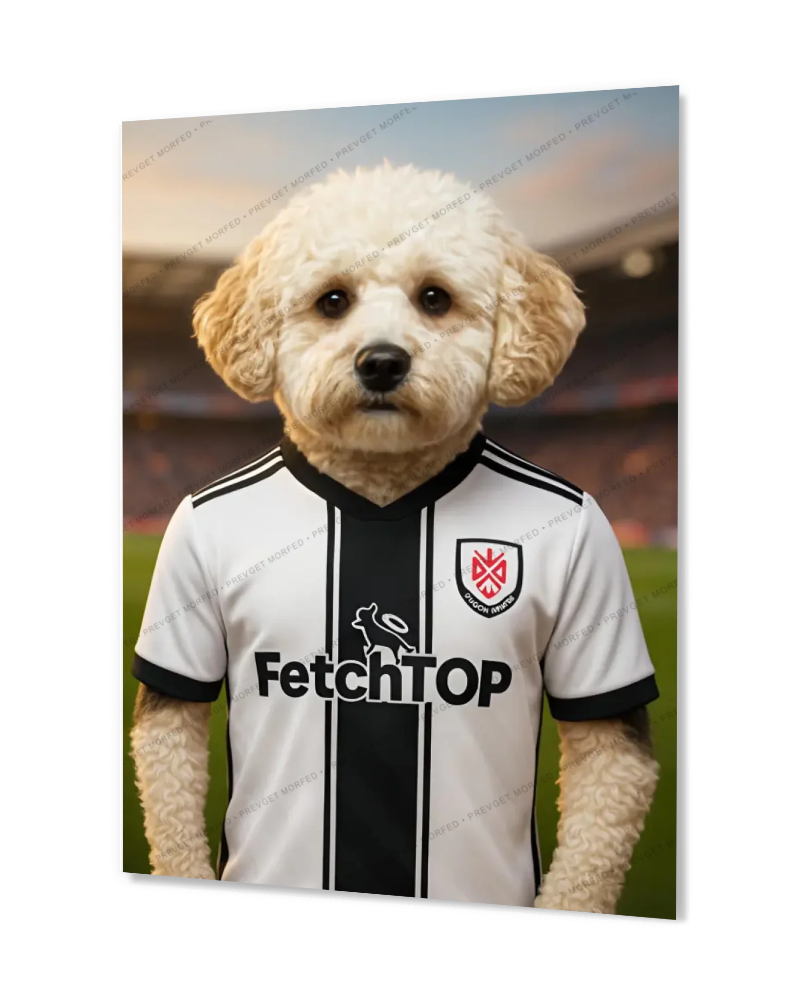 c1100f7b5ad5d3dcd952aedc461044fb0ae6c522-1680x2100