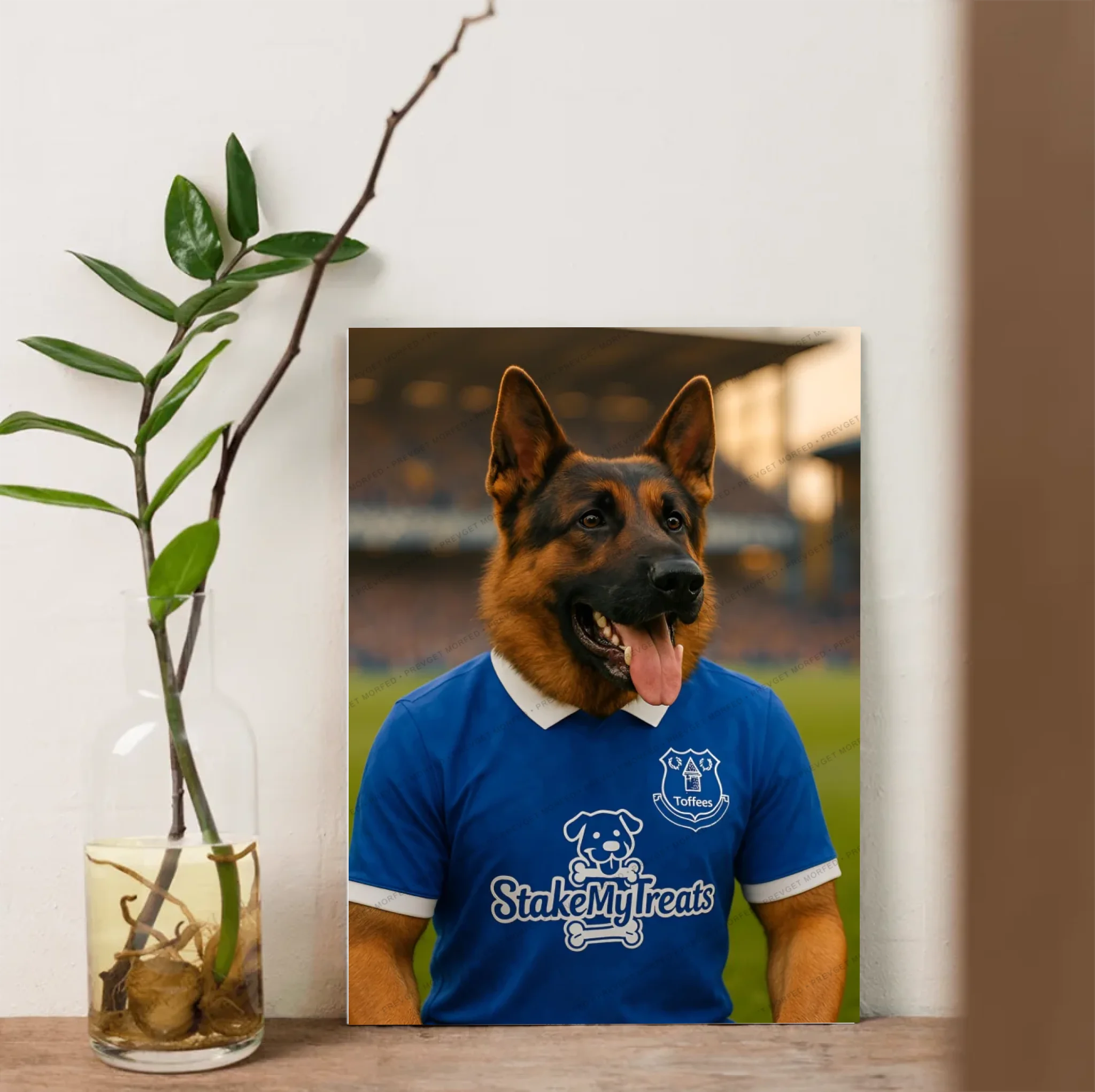 Canvas - 16x24 - No frame 4