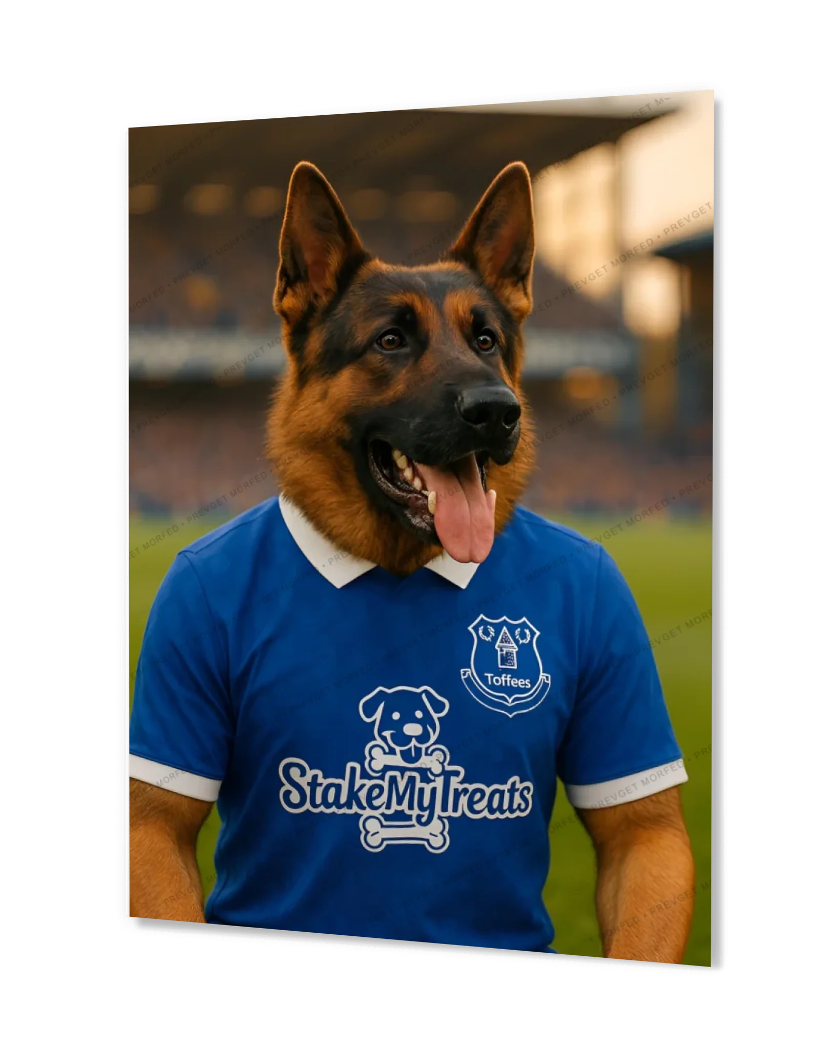 c1100f7b5ad5d3dcd952aedc461044fb0ae6c522-1680x2100