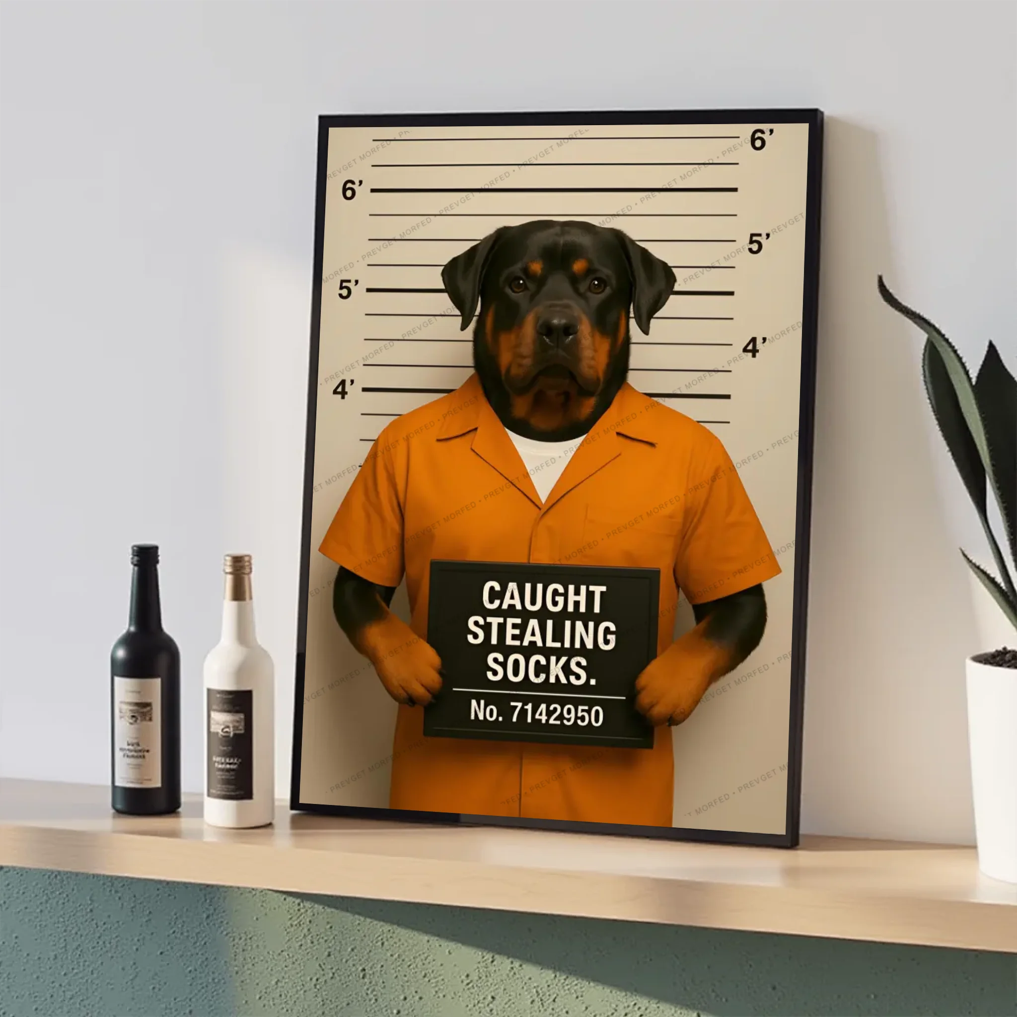 Canvas - 16x24 - Black