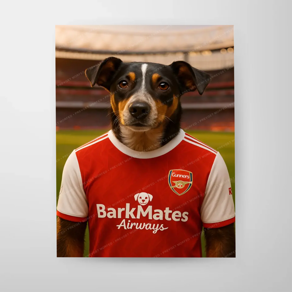 Poster-16″ x 20_ - No frame