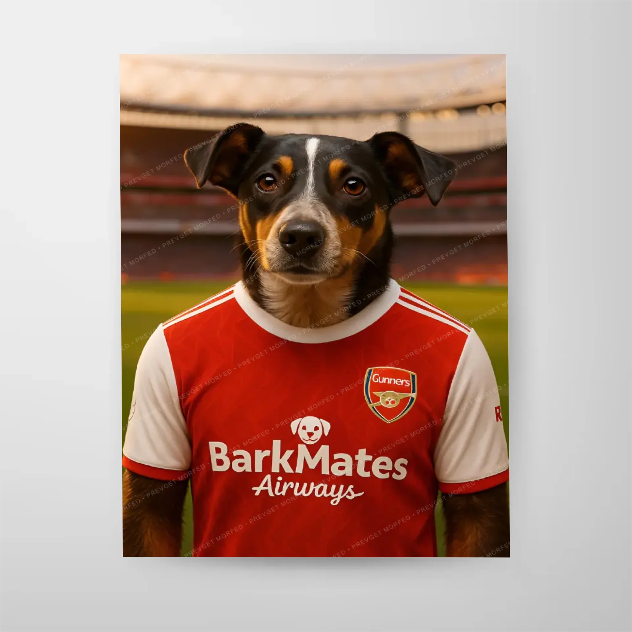 Poster-16″ x 20_ - No frame