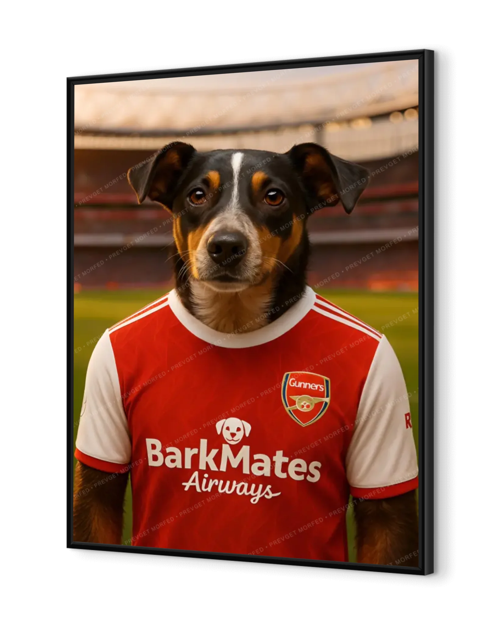 Gunners Companion