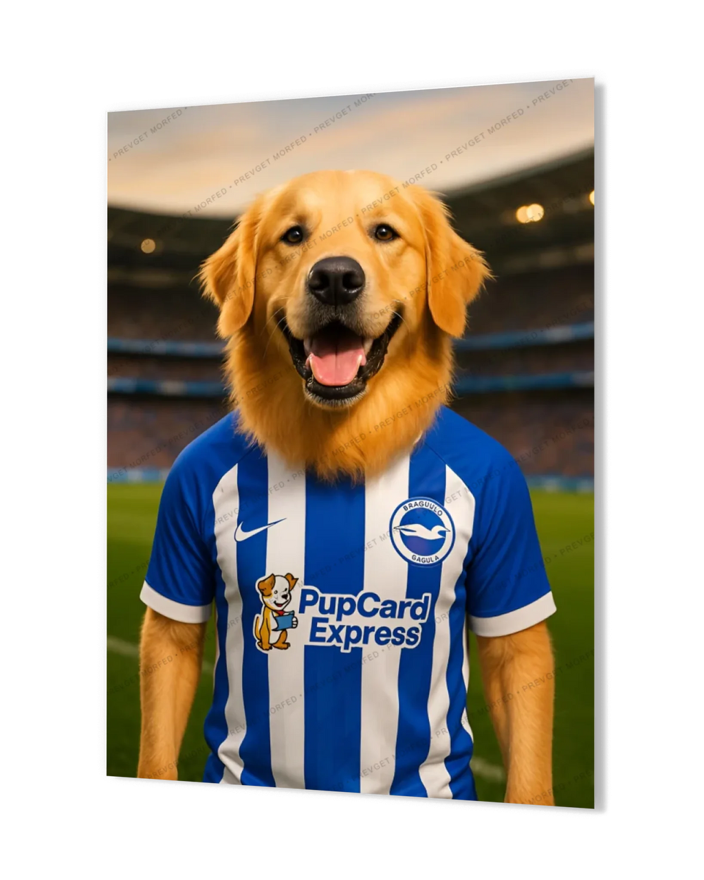 c1100f7b5ad5d3dcd952aedc461044fb0ae6c522-1680x2100