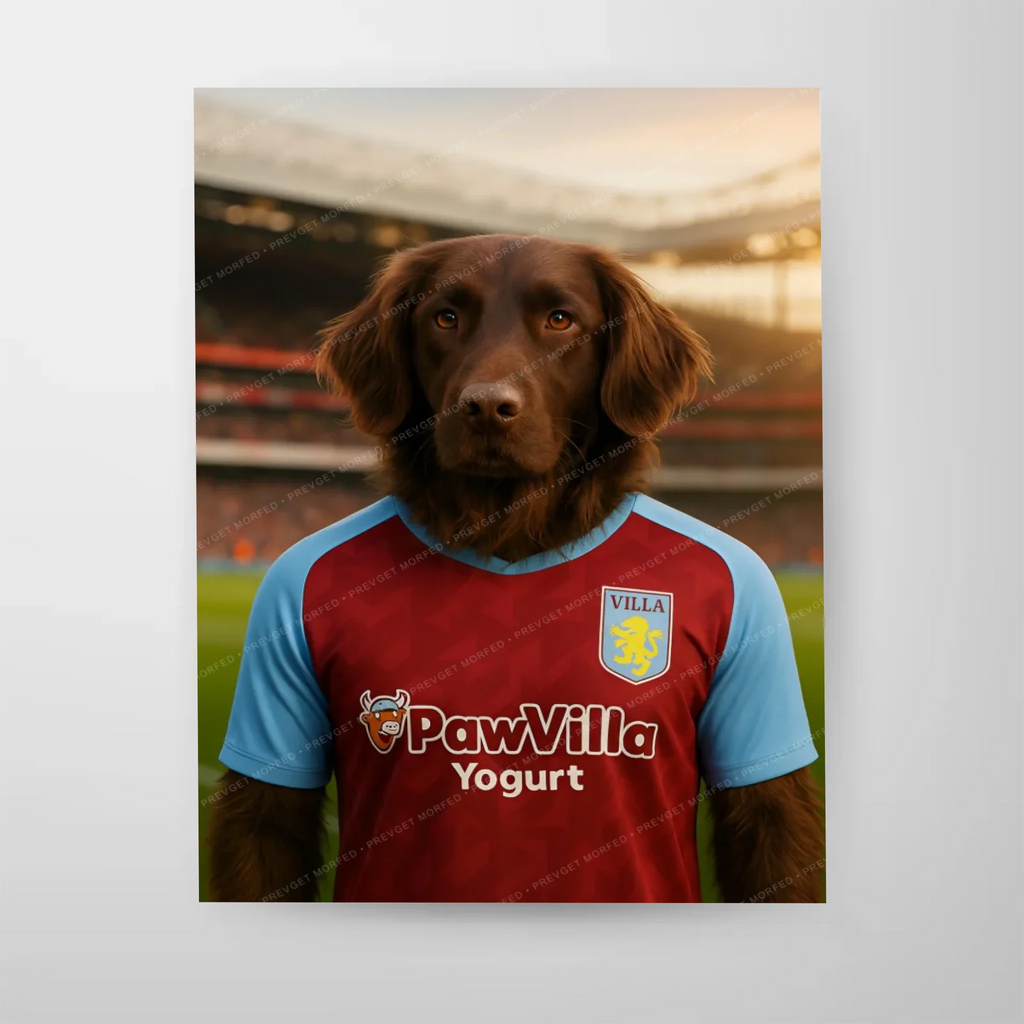 Poster-16″ x 20_ - No frame