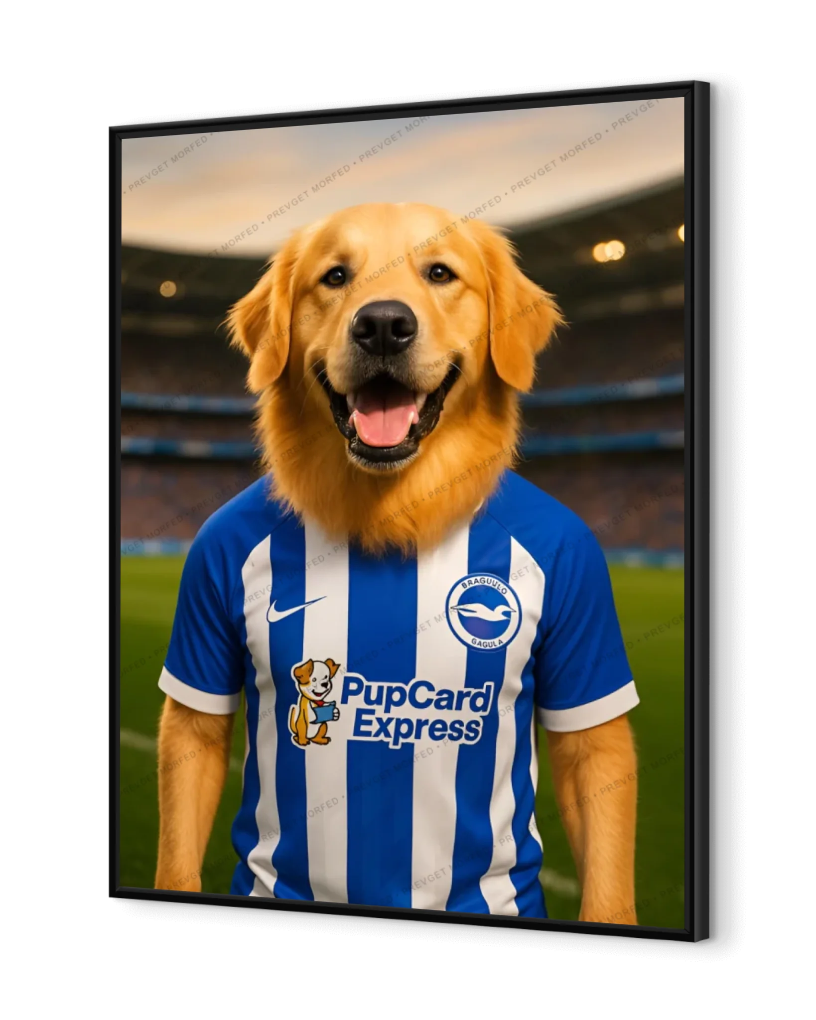 Seaside Seagulls BHAFC